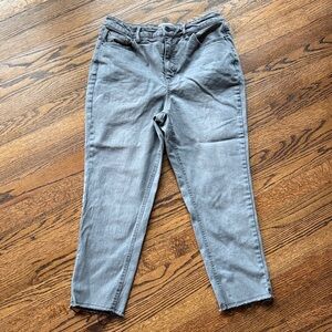 B10 Girl with Curves Chic Gray Ankle Jeans for Women Petite 8